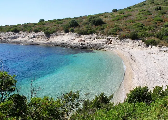 Savar 8079c * Brbinj