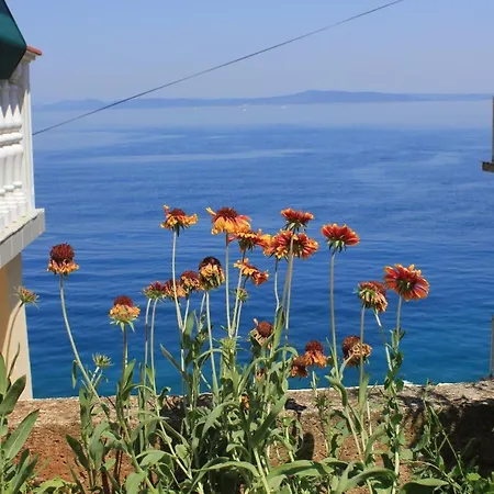 Appartement Savar 8079c